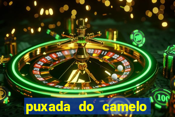 puxada do camelo no jogo do bicho